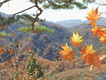 首都春节独家攻略，精彩活动、美食、景点一网打尽！