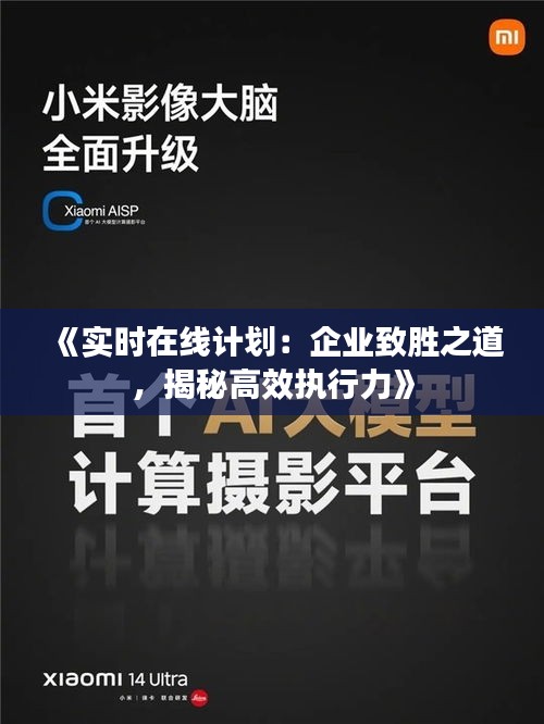 《实时在线计划：企业致胜之道，揭秘高效执行力》