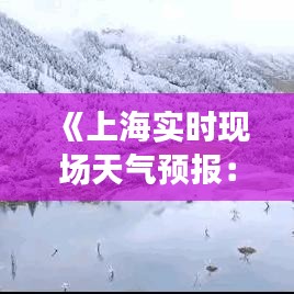 《上海实时现场天气预报：精准掌握城市天气动态》