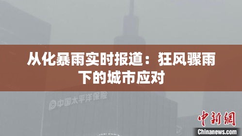 从化暴雨实时报道：狂风骤雨下的城市应对