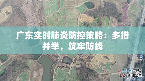 广东实时肺炎防控策略：多措并举，筑牢防线