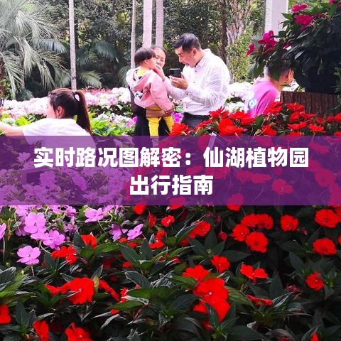 实时路况图解密：仙湖植物园出行指南