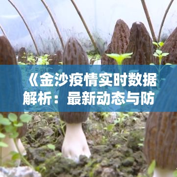 《金沙疫情实时数据解析：最新动态与防控措施一览》