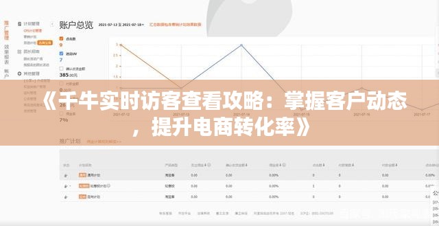 《千牛实时访客查看攻略：掌握客户动态，提升电商转化率》
