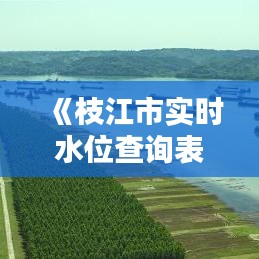 《枝江市实时水位查询表：便捷了解水域动态，守护安全出行》