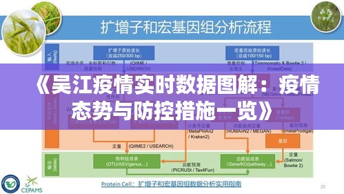 《吴江疫情实时数据图解：疫情态势与防控措施一览》