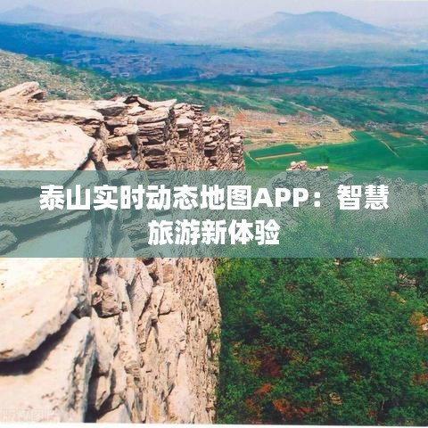 产品中心 第197页