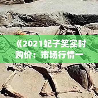 《2021妃子笑实时购价：市场行情一览无余》