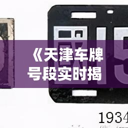 《天津车牌号段实时揭晓：最新号段一览无遗！》