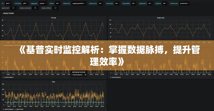 《基普实时监控解析：掌握数据脉搏，提升管理效率》