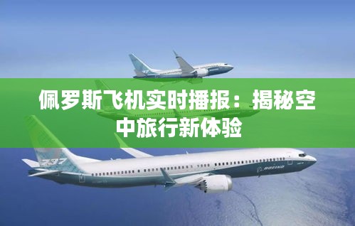 佩罗斯飞机实时播报：揭秘空中旅行新体验