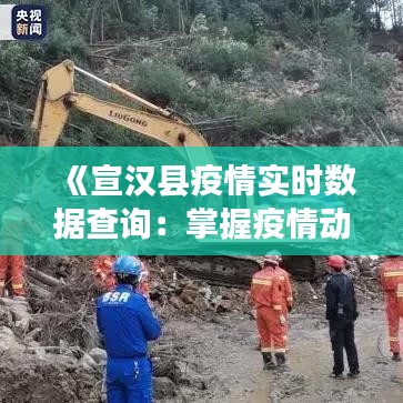 《宣汉县疫情实时数据查询：掌握疫情动态，守护健康防线》