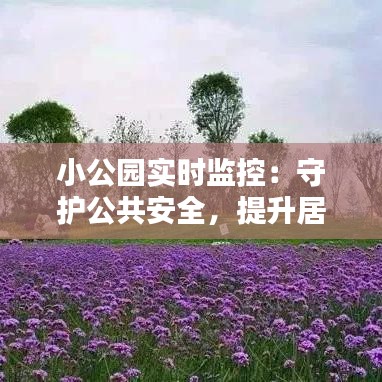 小公园实时监控：守护公共安全，提升居民幸福感