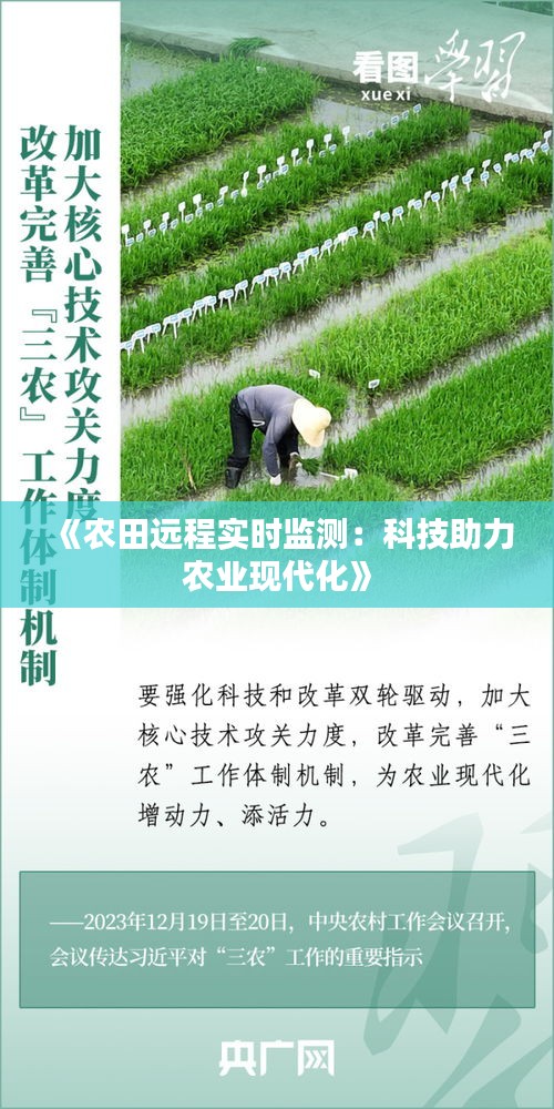 《农田远程实时监测：科技助力农业现代化》