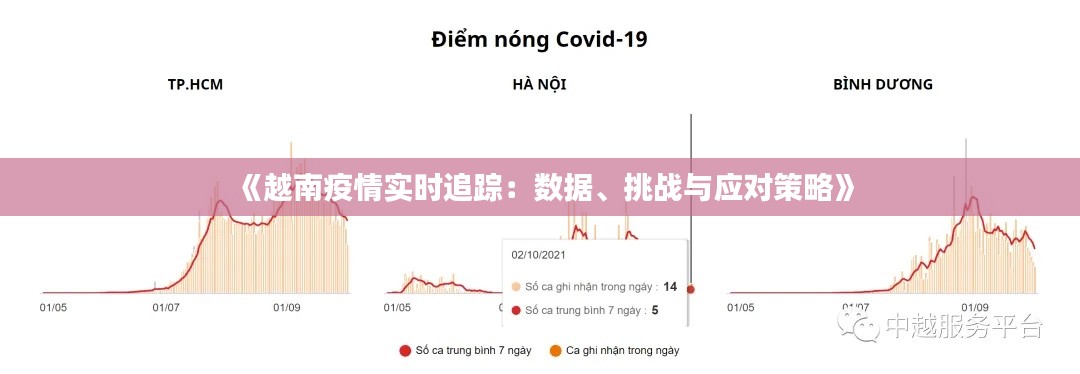《越南疫情实时追踪：数据、挑战与应对策略》