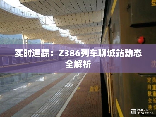 联系我们 第162页