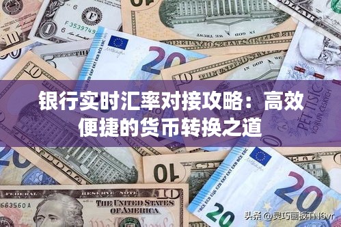 鸟飞兔走 第3页