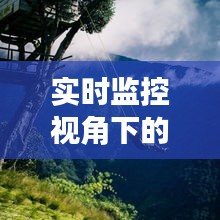 实时监控视角下的旅游胜地：安全与便捷的完美融合