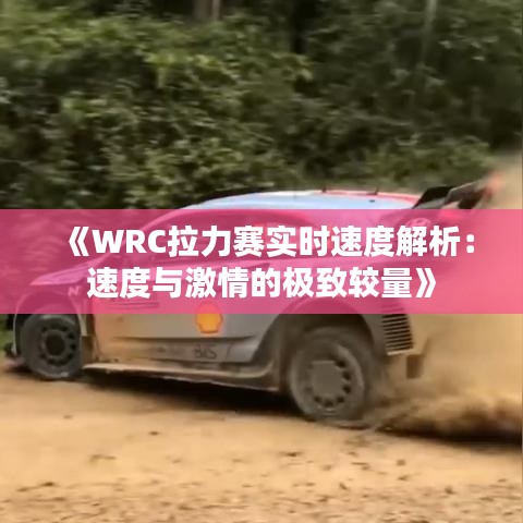 《WRC拉力赛实时速度解析：速度与激情的极致较量》