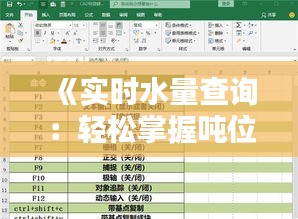 《实时水量查询：轻松掌握吨位表转换方法》