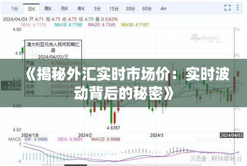 《揭秘外汇实时市场价：实时波动背后的秘密》
