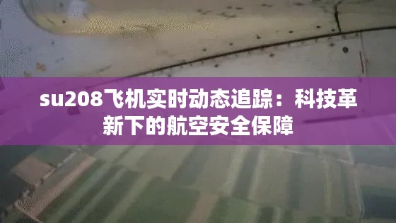 草创未就 第2页