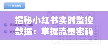 夯雀儿先飞 第3页