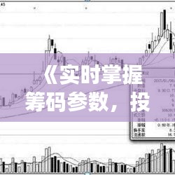 《实时掌握筹码参数，投资决策更精准——揭秘实时查看筹码参数表之道》