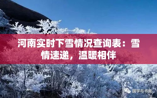 河南实时下雪情况查询表：雪情速递，温暖相伴