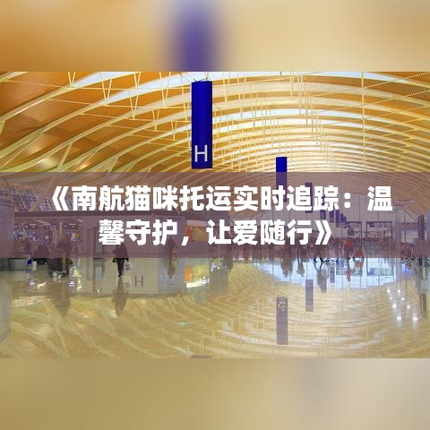 《南航猫咪托运实时追踪：温馨守护，让爱随行》