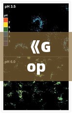 《Goprp7实时画面深度解析：科技与视觉的完美融合》