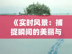 《实时风景：捕捉瞬间的美丽与感动》