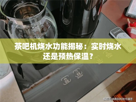 撺哄鸟乱