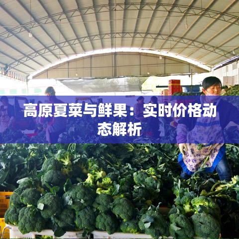 高原夏菜与鲜果：实时价格动态解析