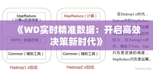 《WD实时精准数据：开启高效决策新时代》