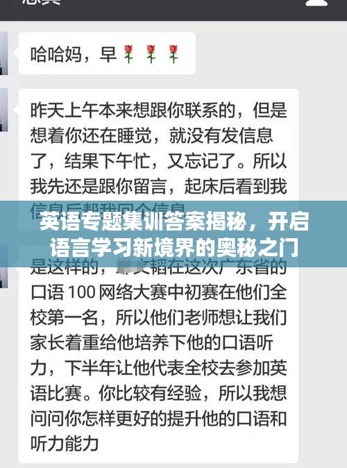 英语专题集训答案揭秘，开启语言学习新境界的奥秘之门