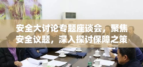 安全大讨论专题座谈会，聚焦安全议题，深入探讨保障之策