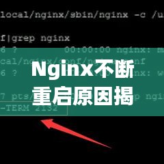 Nginx不断重启原因揭秘与解决方案探讨