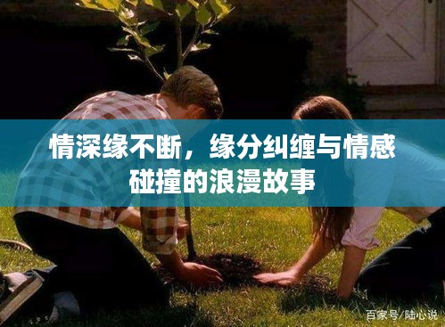 贵耳贱目 第2页