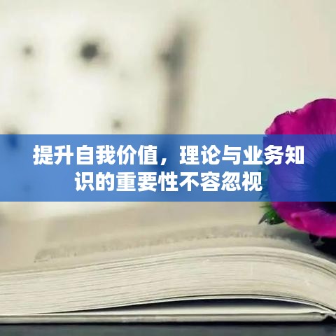 提升自我价值，理论与业务知识的重要性不容忽视