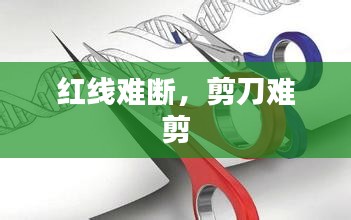 红线难断，剪刀难剪