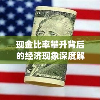 现金比率攀升背后的经济现象深度解析