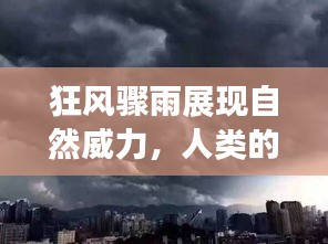 鸢飞鱼跃 第2页