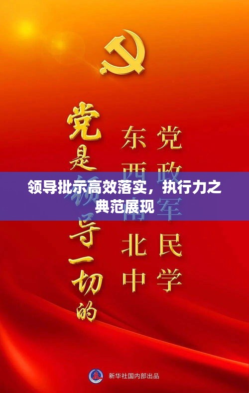 领导批示高效落实，执行力之典范展现