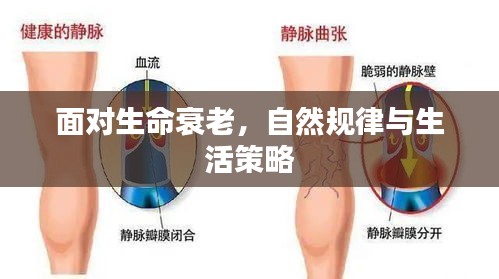 顶天立地 第2页