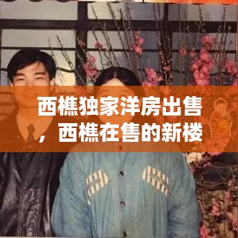 西樵独家洋房出售，西樵在售的新楼盘 