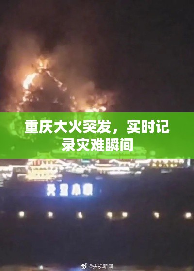 张皇失措 第2页