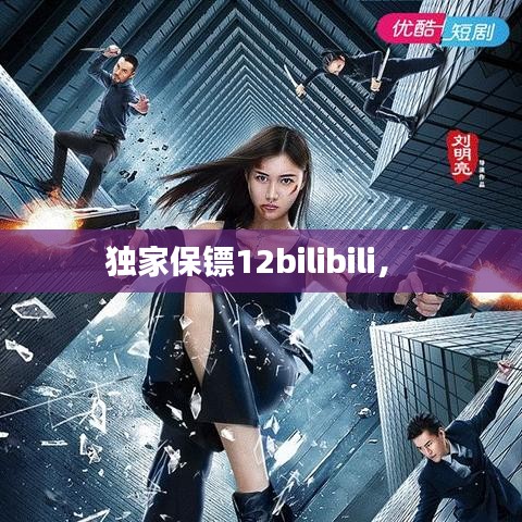 独家保镖12bilibili， 