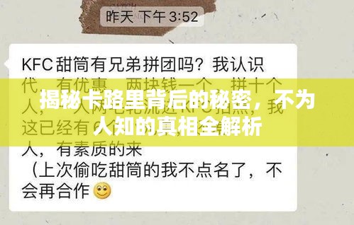 揭秘卡路里背后的秘密，不为人知的真相全解析