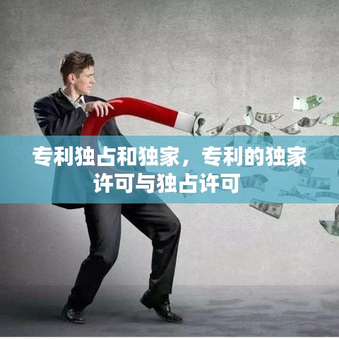 专利独占和独家，专利的独家许可与独占许可 